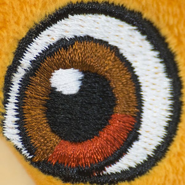Eye-3-3